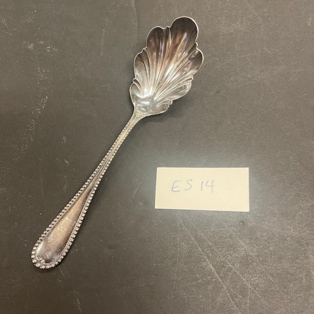 WM Rogers Scalloped Sugar Shell Spoon Antique Beaded Edging ES14